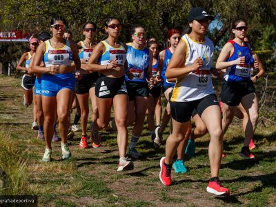 Cross country damas